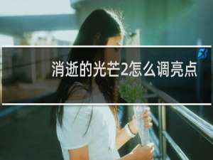 消逝的光芒2怎么调亮点