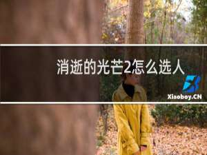 消逝的光芒2怎么选人