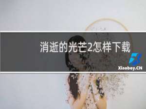 消逝的光芒2怎样下载