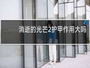 消逝的光芒2护甲作用大吗