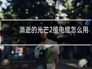 消逝的光芒2接电缆怎么用