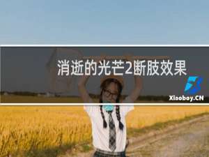 消逝的光芒2断肢效果