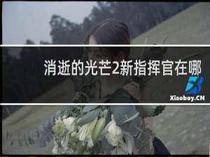 消逝的光芒2新指挥官在哪