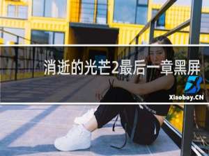 消逝的光芒2最后一章黑屏