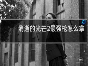 消逝的光芒2最强枪怎么拿