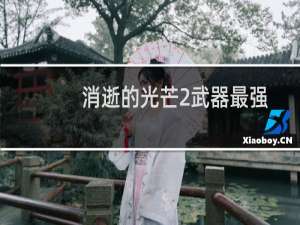 消逝的光芒2武器最强