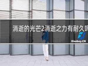 消逝的光芒2消逝之力有耐久吗