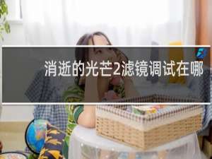 消逝的光芒2滤镜调试在哪