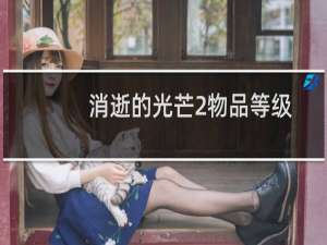 消逝的光芒2物品等级