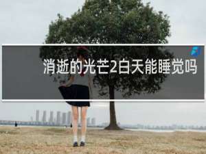 消逝的光芒2白天能睡觉吗