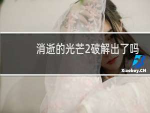 消逝的光芒2破解出了吗