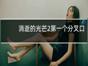 消逝的光芒2第一个分叉口