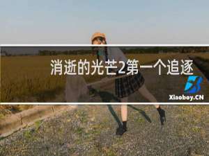 消逝的光芒2第一个追逐