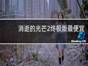 消逝的光芒2终极版最便宜