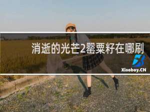 消逝的光芒2罂粟籽在哪刷