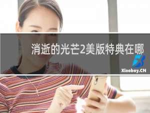 消逝的光芒2美版特典在哪
