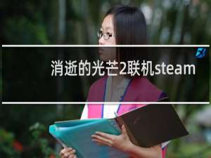 消逝的光芒2联机steam