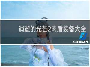 消逝的光芒2肉盾装备大全