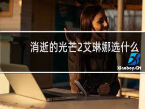 消逝的光芒2艾琳娜选什么