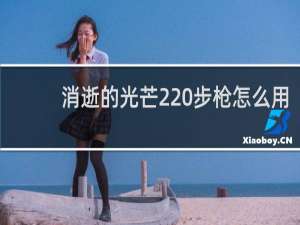 消逝的光芒2 步枪怎么用