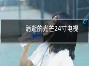 消逝的光芒24寸电视