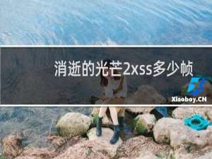 消逝的光芒2xss多少帧