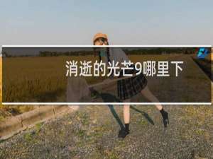 消逝的光芒9哪里下