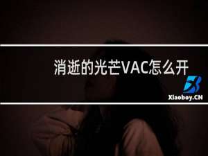 消逝的光芒VAC怎么开