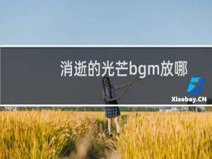 消逝的光芒bgm放哪