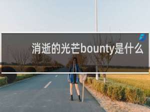 消逝的光芒bounty是什么