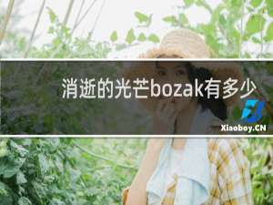 消逝的光芒bozak有多少