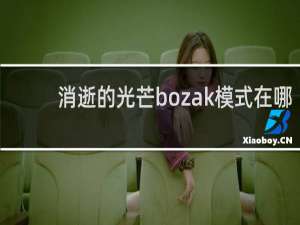 消逝的光芒bozak模式在哪