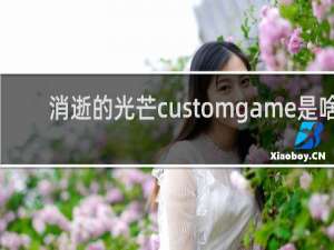 消逝的光芒customgame是啥
