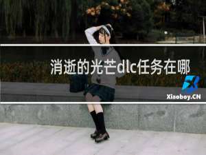 消逝的光芒dlc任务在哪