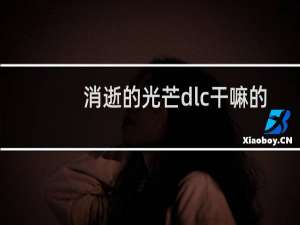 消逝的光芒dlc干嘛的