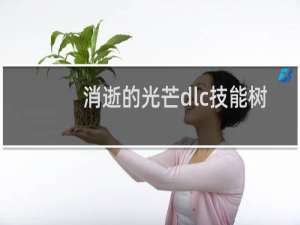 消逝的光芒dlc技能树