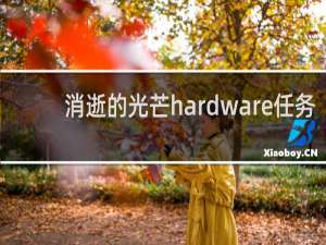 消逝的光芒hardware任务