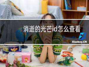 消逝的光芒id怎么查看