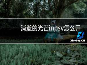 消逝的光芒inpsv怎么开