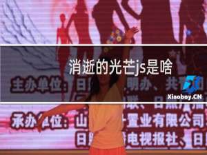 消逝的光芒js是啥