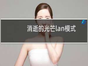 消逝的光芒lan模式