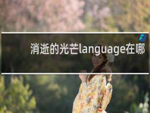 消逝的光芒language在哪