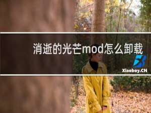 消逝的光芒mod怎么卸载