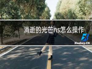 消逝的光芒ns怎么操作