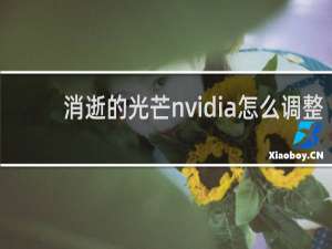 消逝的光芒nvidia怎么调整