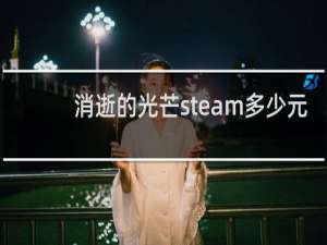 消逝的光芒steam多少元