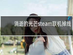 消逝的光芒steam联机掉线