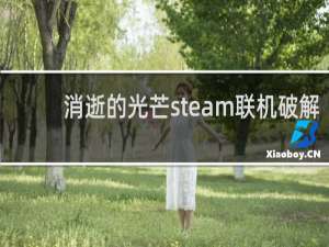 消逝的光芒steam联机破解