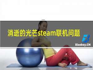 消逝的光芒steam联机问题