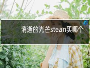 消逝的光芒stean买哪个